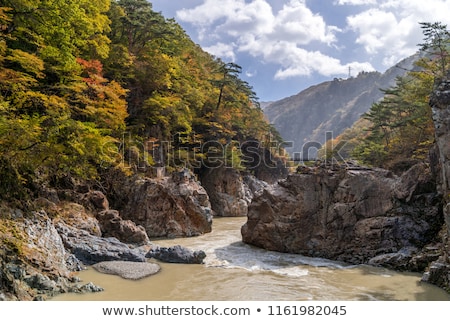Ryuyo Gorge Canyon Nikko Japan Stok fotoğraf © vichie81