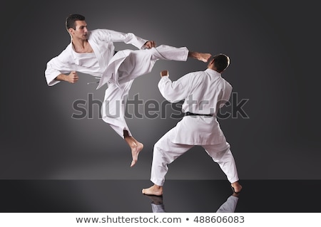 Stock photo: Karate Fight