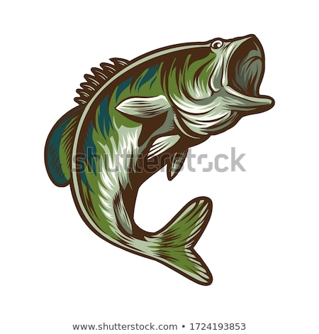 Stock photo: Silhouette Of Perch