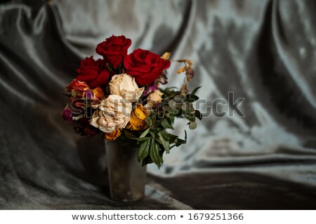 Stock photo: Vintage Background Dry Rose On Satin