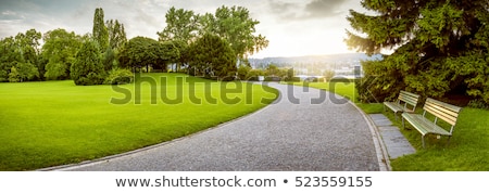 Сток-фото: Path In The Park