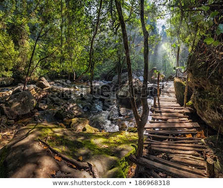 Stockfoto: Sunny Day At Tropical Rain Forest Landscape With Kulen Waterfall In Cambodia