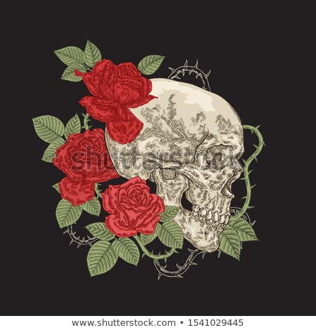 Stock fotó: Red Rose Of Skulls And Bones