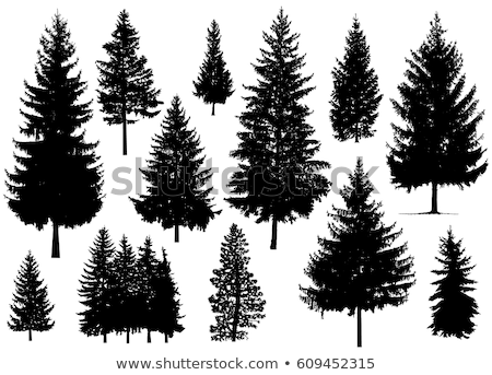 Stock photo: Tree Silhouette