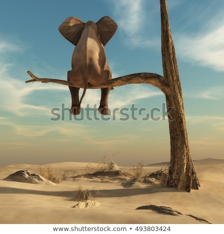 [[stock_photo]]: trange · équilibre