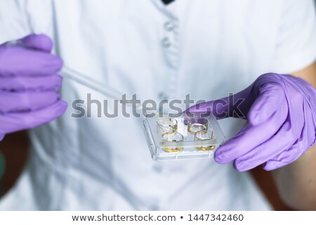 Stockfoto: Embryo