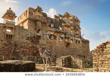 Stock photo: Camels At The Relics Of An Ancient Castle