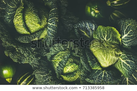 Foto stock: Close Up View Of Green Leaf Of Fresh Healthy Savoy Cabbage On Black