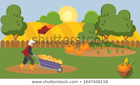 Stok fotoğraf: Earning Income From Agricultural Activity