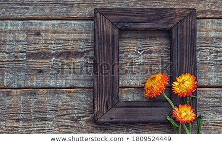 Stock photo: Floral Wooden Frame