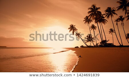 Сток-фото: Beach At Evening