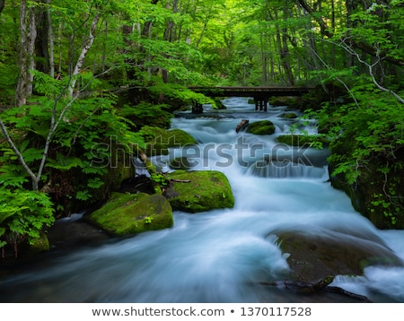 Stock photo: Oirase Stream In Summer