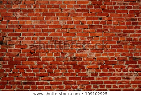 Red Brick Wall Detail Stock fotó © d13