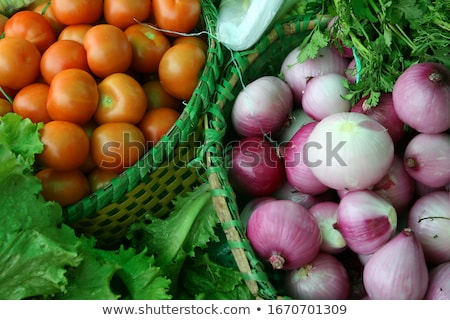 [[stock_photo]]: Pujili