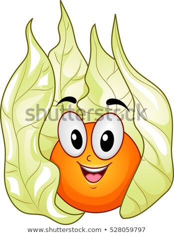 Foto stock: Mascot Inca Berry Fresh Fruit