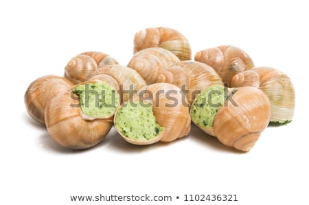 Stock fotó: Helix Pomatia Also Roman Snail Burgundy Snail