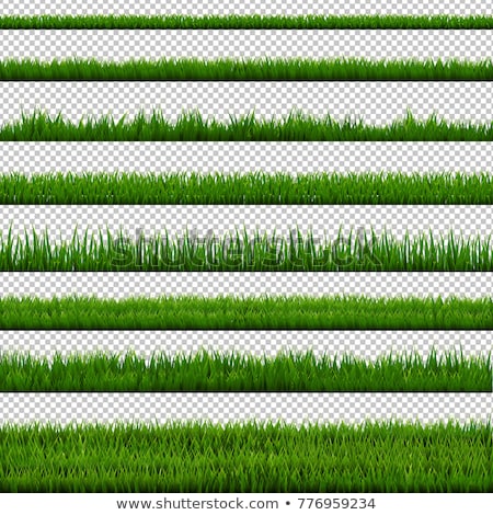 [[stock_photo]]: Grass Borders Set