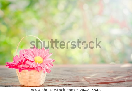 ストックフォト: Happy Style Girl With Flowers And Bokeh At Background