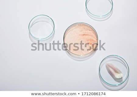 Сток-фото: Laboratory Glassware Liquid