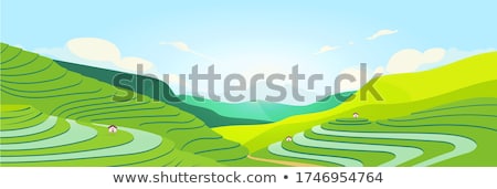 Stok fotoğraf: Mountain Landscape With Tea Plantation