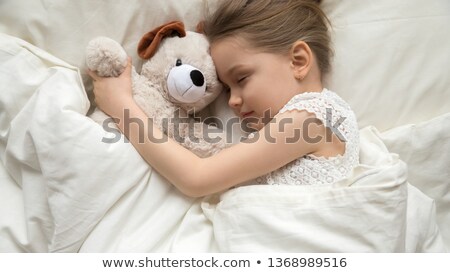 [[stock_photo]]: Cozy Dog In Bed With Teddy Bear