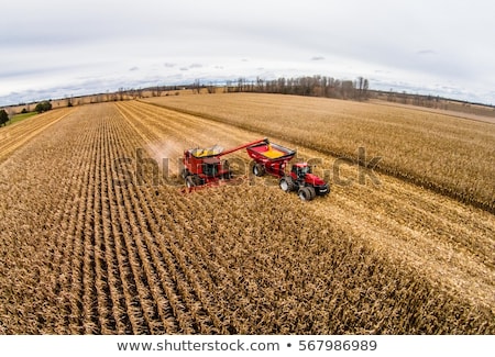 [[stock_photo]]: Corn Maize Harvest Aerial View Of Combine Harvester
