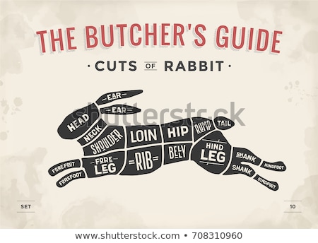 Stockfoto: Cut Of Rabbit Diagram For Butcher Rabbit Cut