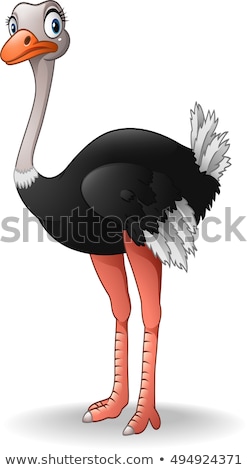 [[stock_photo]]: Smiling Cartoon Ostrich