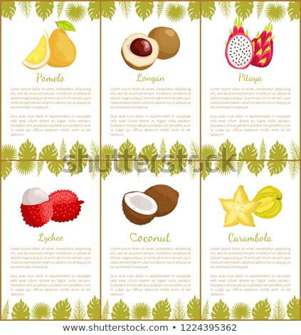 Foto d'archivio: Pomelo And Longan Carambola Set Of Posters Vector