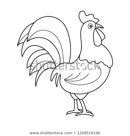 Сток-фото: Animal Outline For Rooster