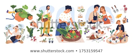Сток-фото: Farmer With Harvesting Basket Vector Illustration