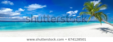 ストックフォト: Tropical Beach Landscape Panorama Beautiful Turquoise Ocean Waives With Boats And Sandy Coastline F