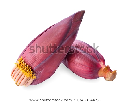 Foto stock: Banana Flower