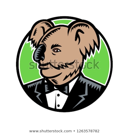 Stock foto: Koala Bear Wearing Tuxedo Woodcut