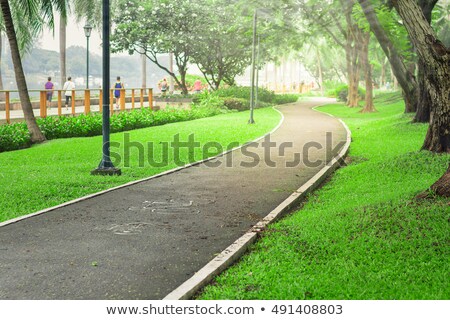 Stockfoto: Man Rides Bicycle In Park Cyclist Competition