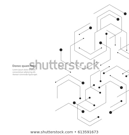 ストックフォト: Hexagons Genetic Science Chemical Carcass Vector Connection And Social Network Concept With Line