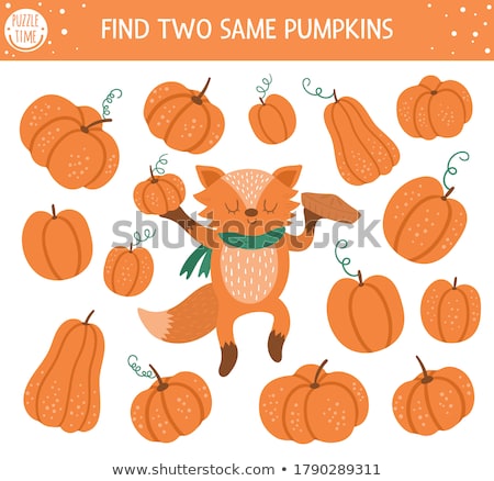 Foto stock: Find Two Same Foxes Educational Game For Children
