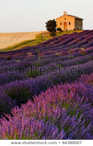 Stockfoto: Chapel Plateau De Valensole Provence France