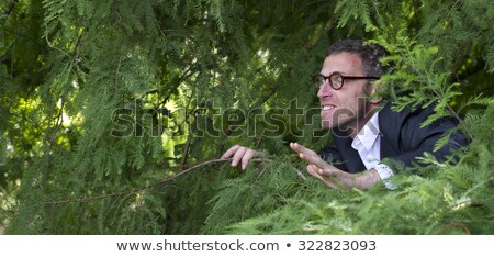 Stock photo: Escape The Jungle