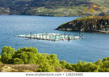 Foto stock: Salmon Farm Loch A Chairn Bhain Highlands Scotland