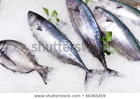 Stok fotoğraf: Whole Fresh Fishes Are Offered In The Fish Market