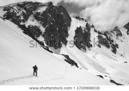 Trace Of Avalanche Сток-фото © Lizard