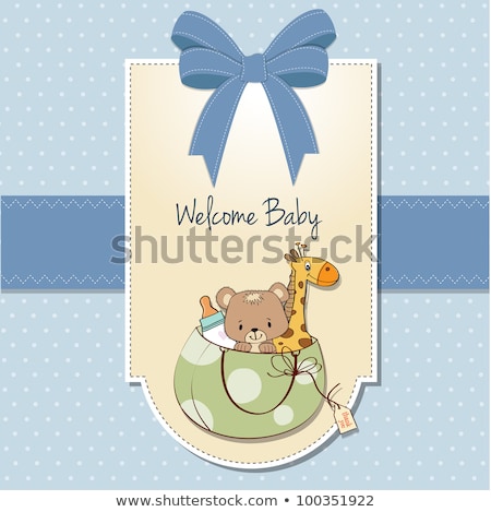 Stok fotoğraf: New Baby Announcement Card With Bag And Same Toys