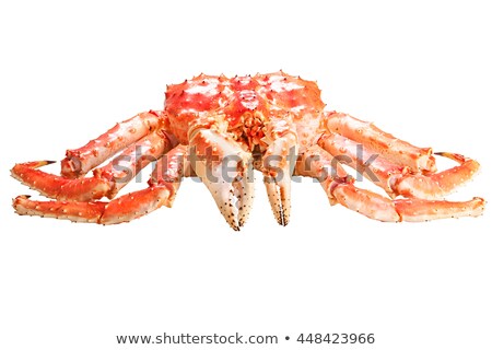 Сток-фото: Large Red King Kamchatsky Crab Isolated On White Background