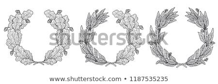 Stock fotó: Crown Set Isolated White Background