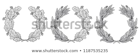 Stok fotoğraf: Crown Set Isolated White Background