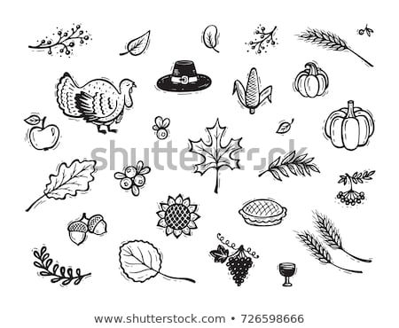 Foto d'archivio: Bird Turkey And Baked Pie Apple Set Icons Vector