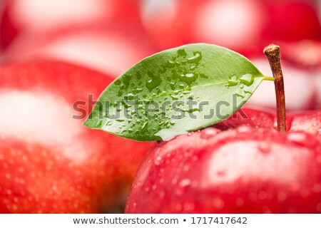 [[stock_photo]]: Pple · gros · plan