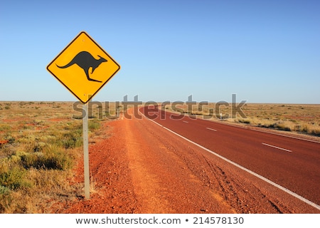 Foto d'archivio: Kangaroo Crossing