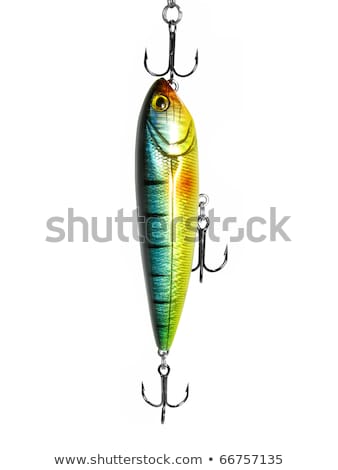 Foto stock: Fishing Lure For Catching Predator